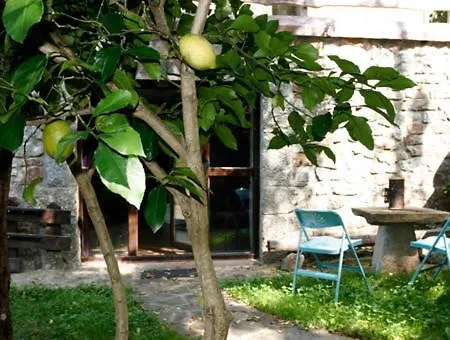 Casa Del Conde - * Ajanedo
